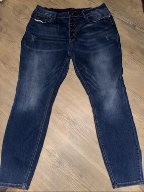 Judy Blue 22W Skinny Jeans
